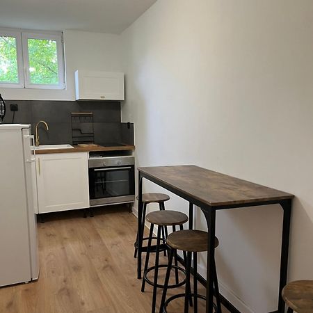 Appartement Chic & Elegant サン・ディジエ エクステリア 写真