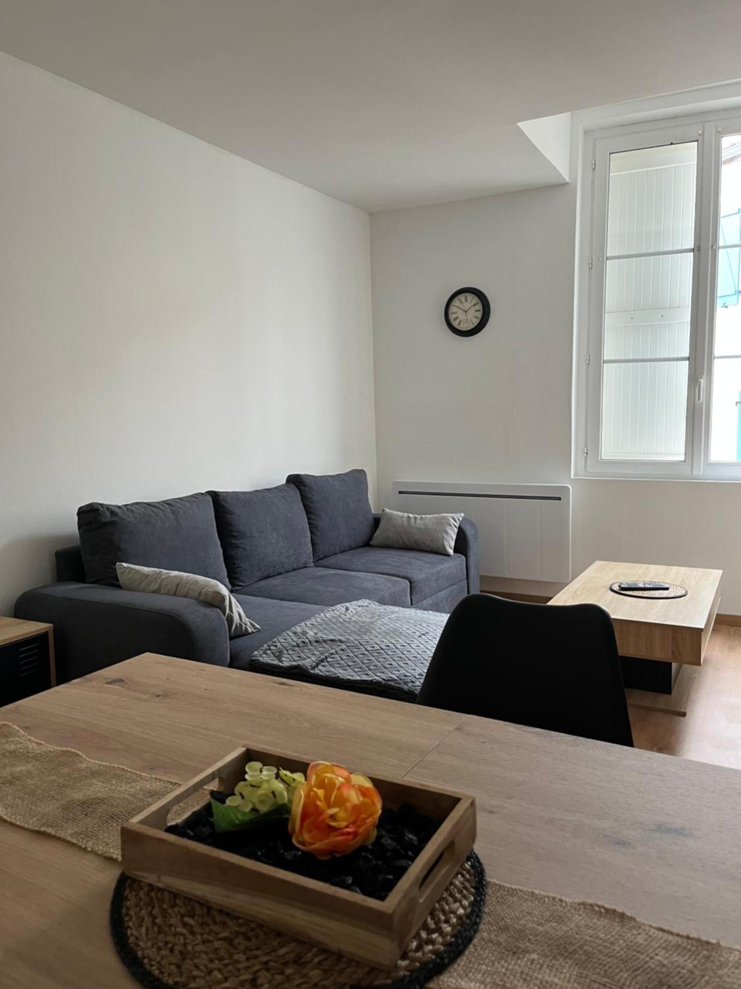 Appartement Chic & Elegant サン・ディジエ エクステリア 写真